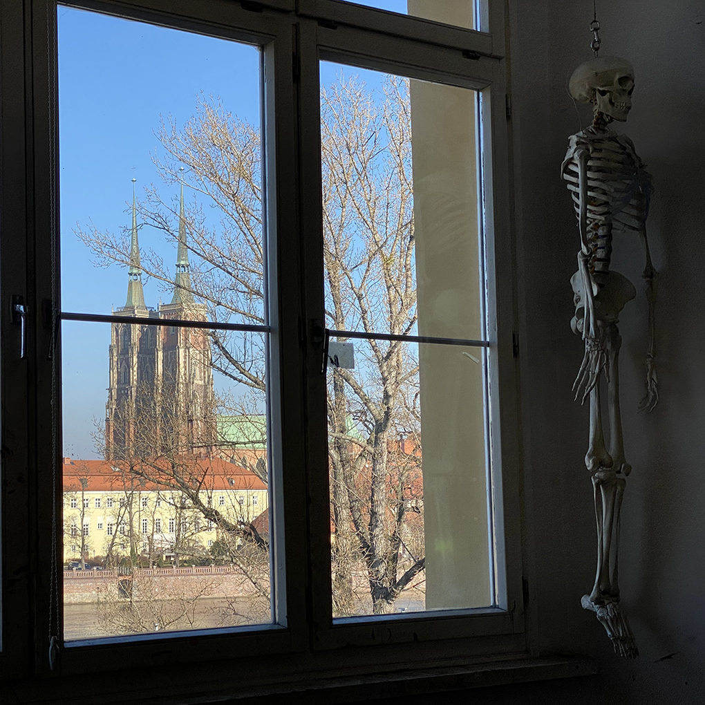 placeholder image-wide