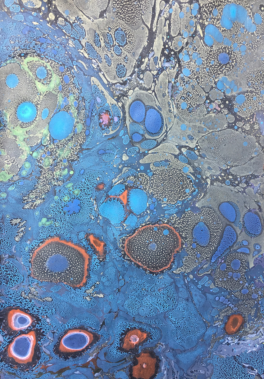 IMG_2050 kopia%20kopia